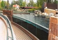 Zoo Leipzig: Robbenbecken