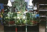 Erlebnismarkt Aquarien