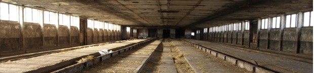 Planung Entenmastanlage